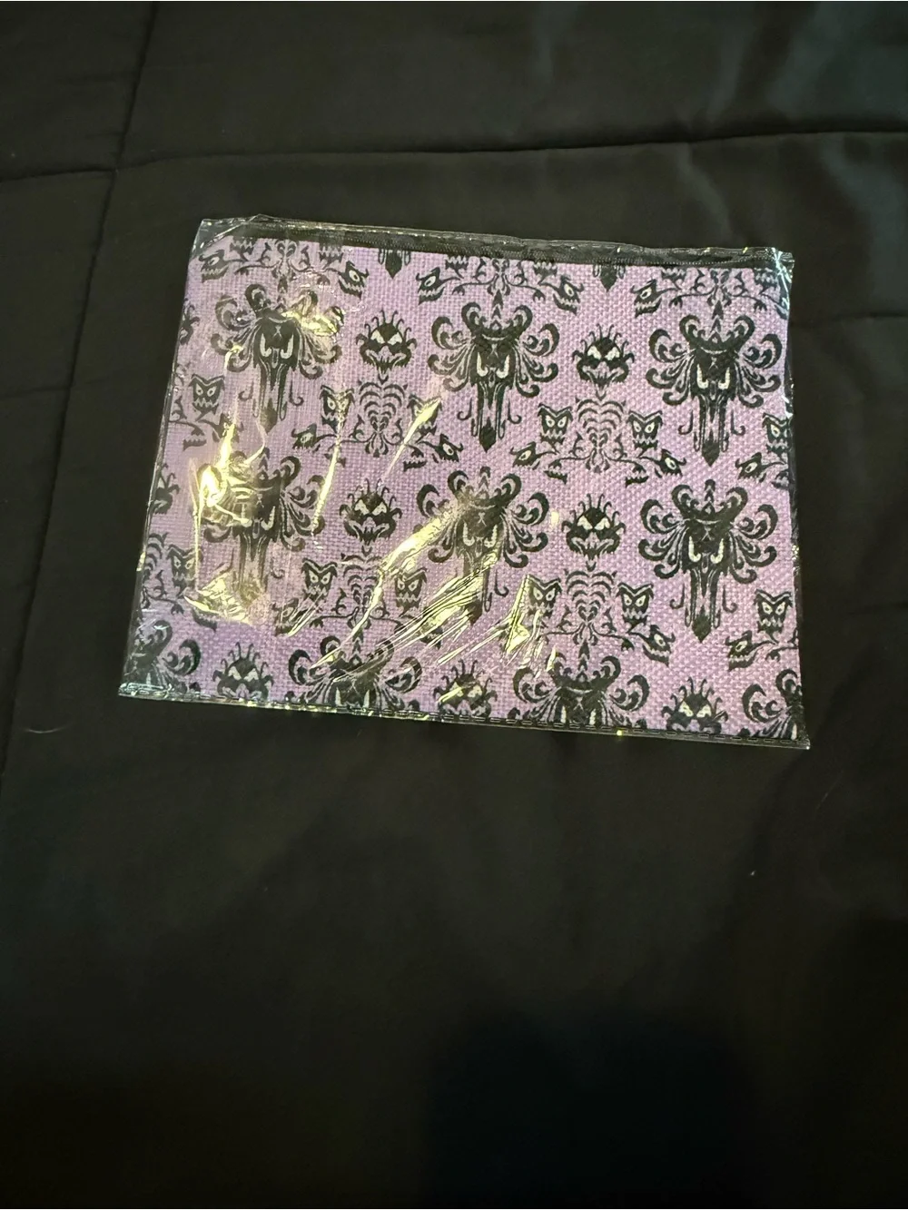 Haunted Mansion Makeup Bag